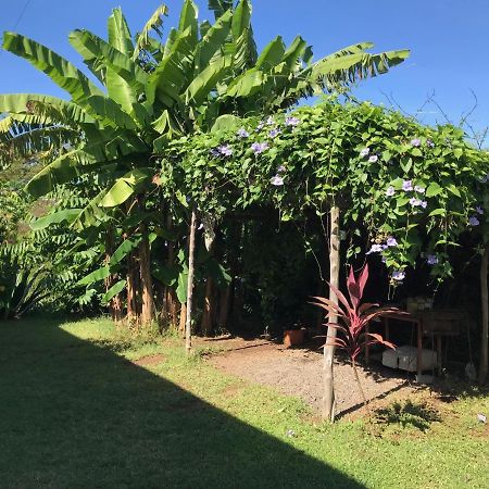 Villa Les HIBISCUS à Ambondrona  Extérieur photo