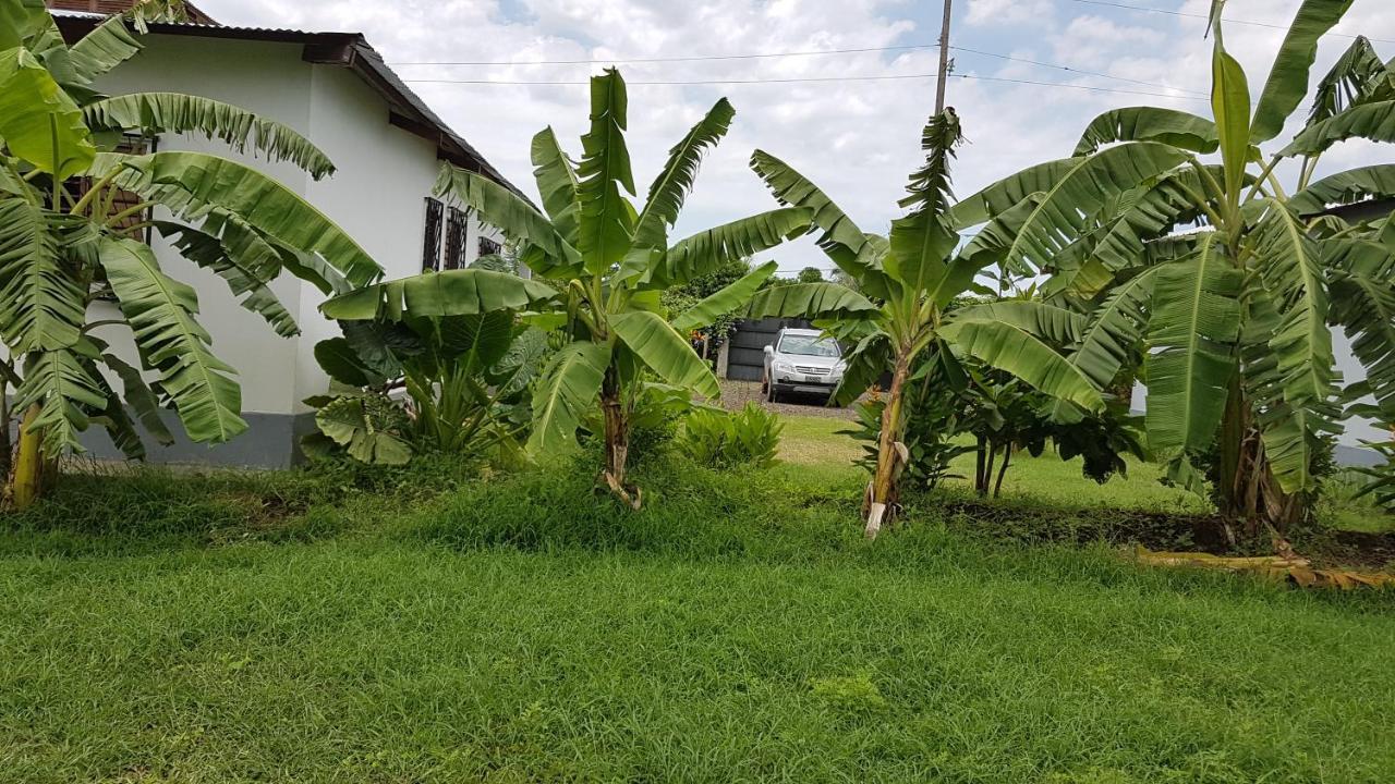 Villa Les HIBISCUS à Ambondrona  Extérieur photo